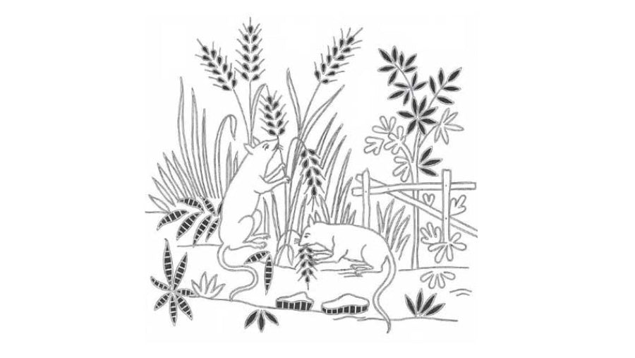 French Embroidery Mastery: Machine Techniques, Patterns & History